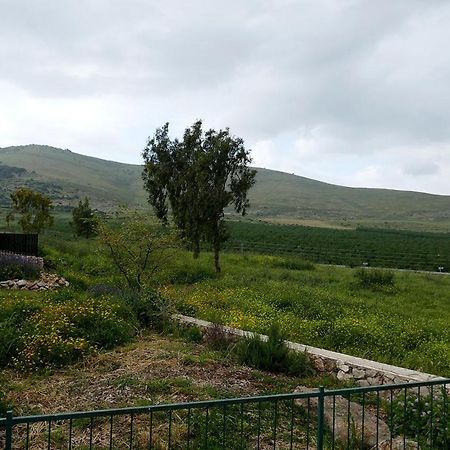 נוריות בגלבוע 1 Nurit Exterior foto